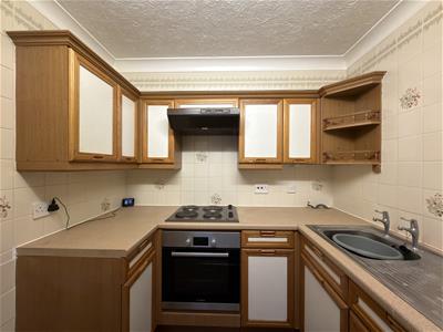 Picture 8